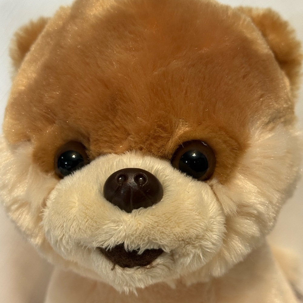 “Boo the world’s cutest Dog” Cream Plush Toy